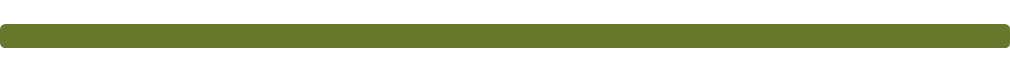 Primary Raster logo